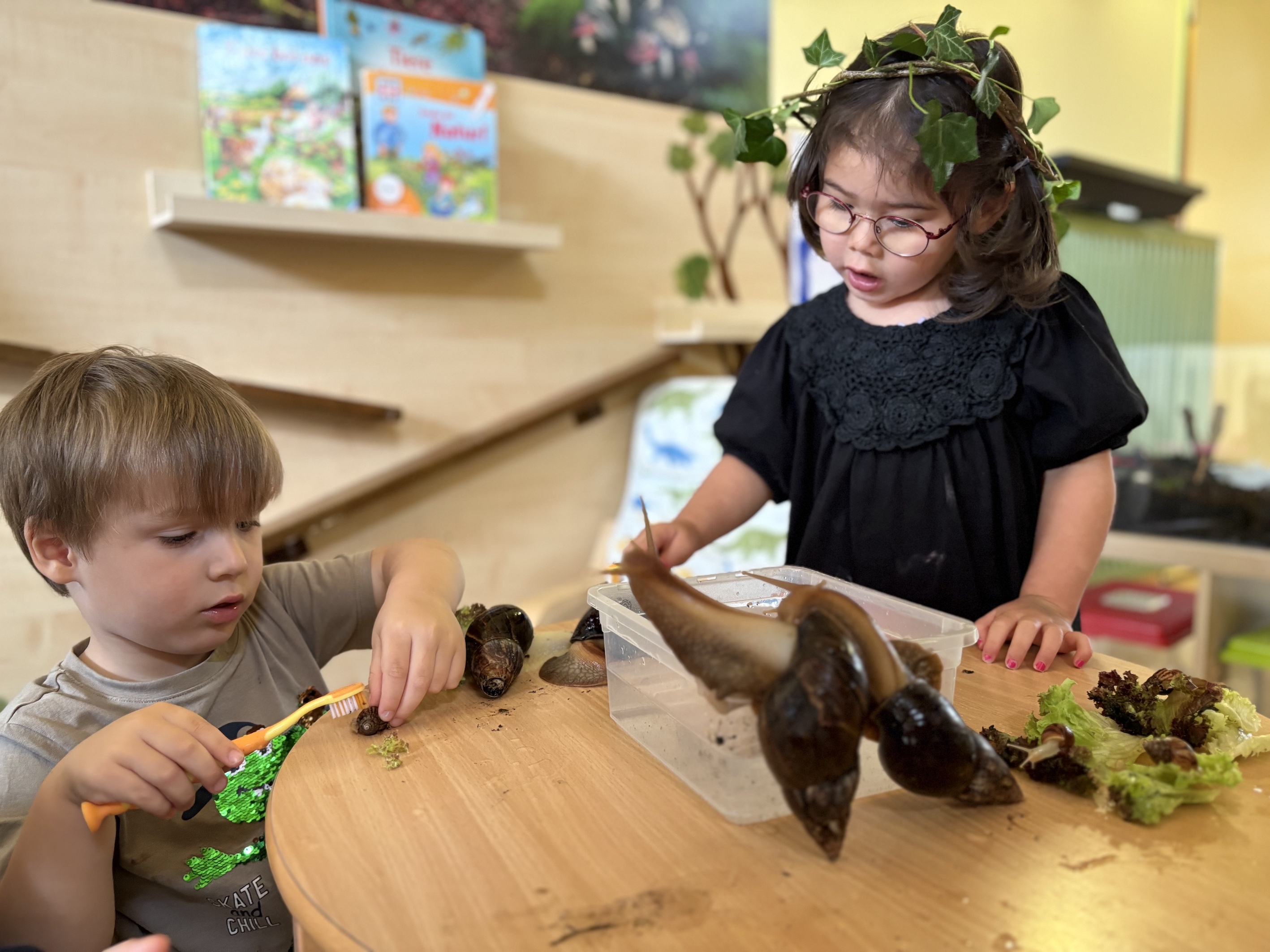 Achatschnecken sind neugierig und mögen menschlichen Kontakt. Die Kinder der Kita „Waldgeister“ putzen regelmäßig ihre Häuser oder lassen sie baden, Foto: maxpress
